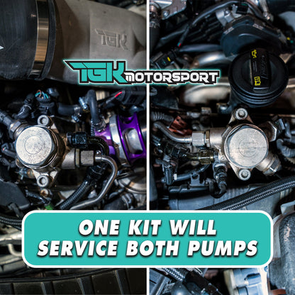 TGK Motorsport Audi 4.0T High Pressure Fuel Pump Seal Full Rebuild Kit